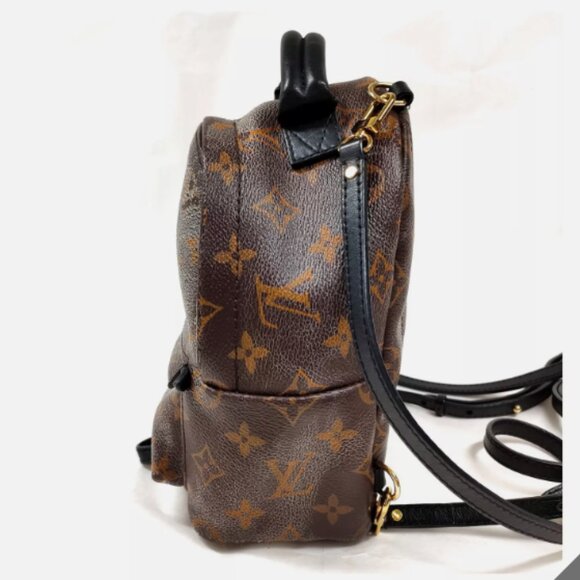 Mini Palm Springs Louis Vuitton Backpack - Picture 5 of 14